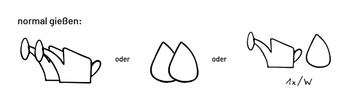 Übersicht von Pflanzensymbolen zu normalem Wasserbedarf.