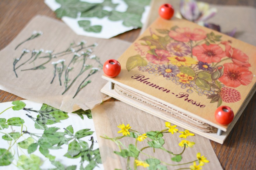 Blumenpresse und getrocknete Blumen liegen auf einem Tisch.