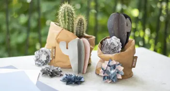 So basteln Sie schicke Papiersukkulenten und -kakteen ganz einfach nach. Bei Weyers-Kaatzer in Aachen und im Onlineshop finden Sie alles für Ihre Umsetzung.