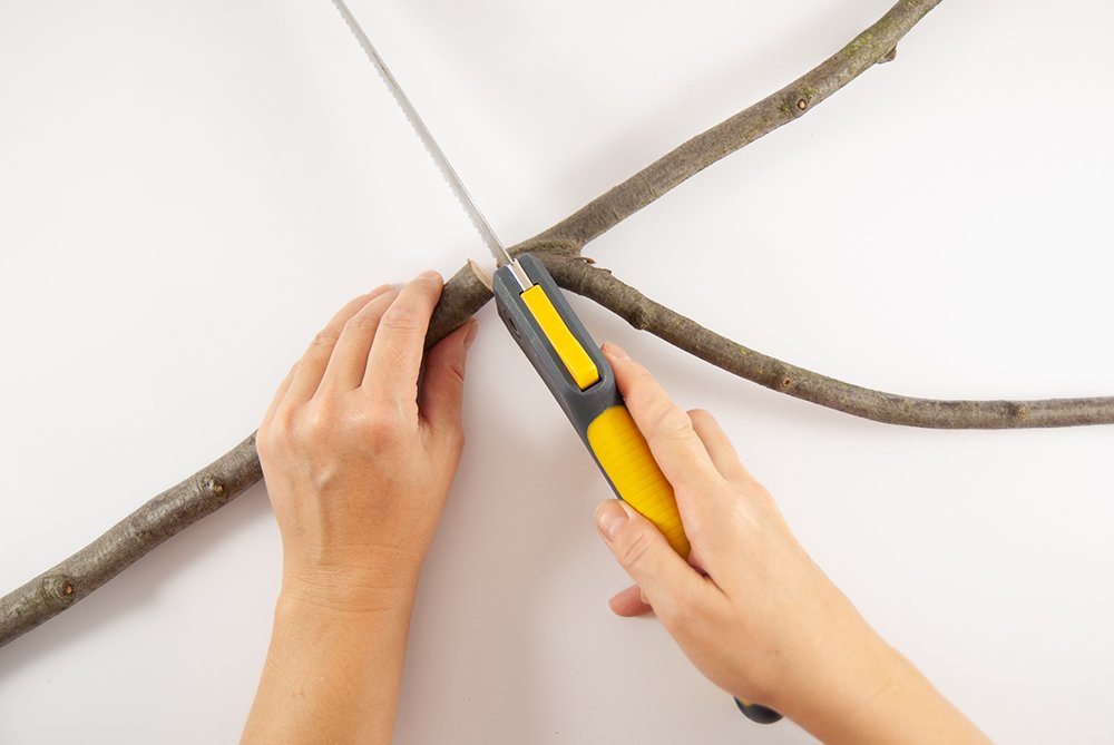 Mit einer Astschere wird ein Ast in zwei Teile geschnitten.