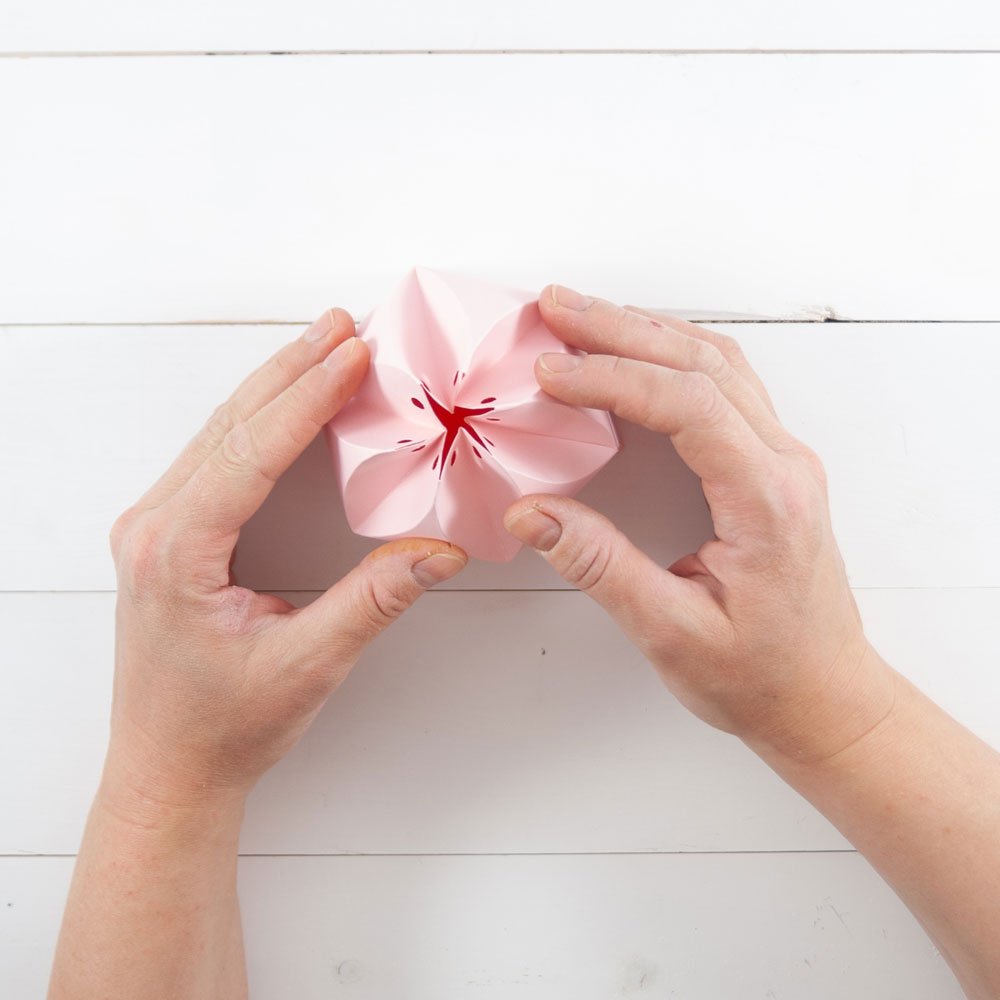 Zwei Höände drücken die gebastelte Verpackung in die richtige Position.