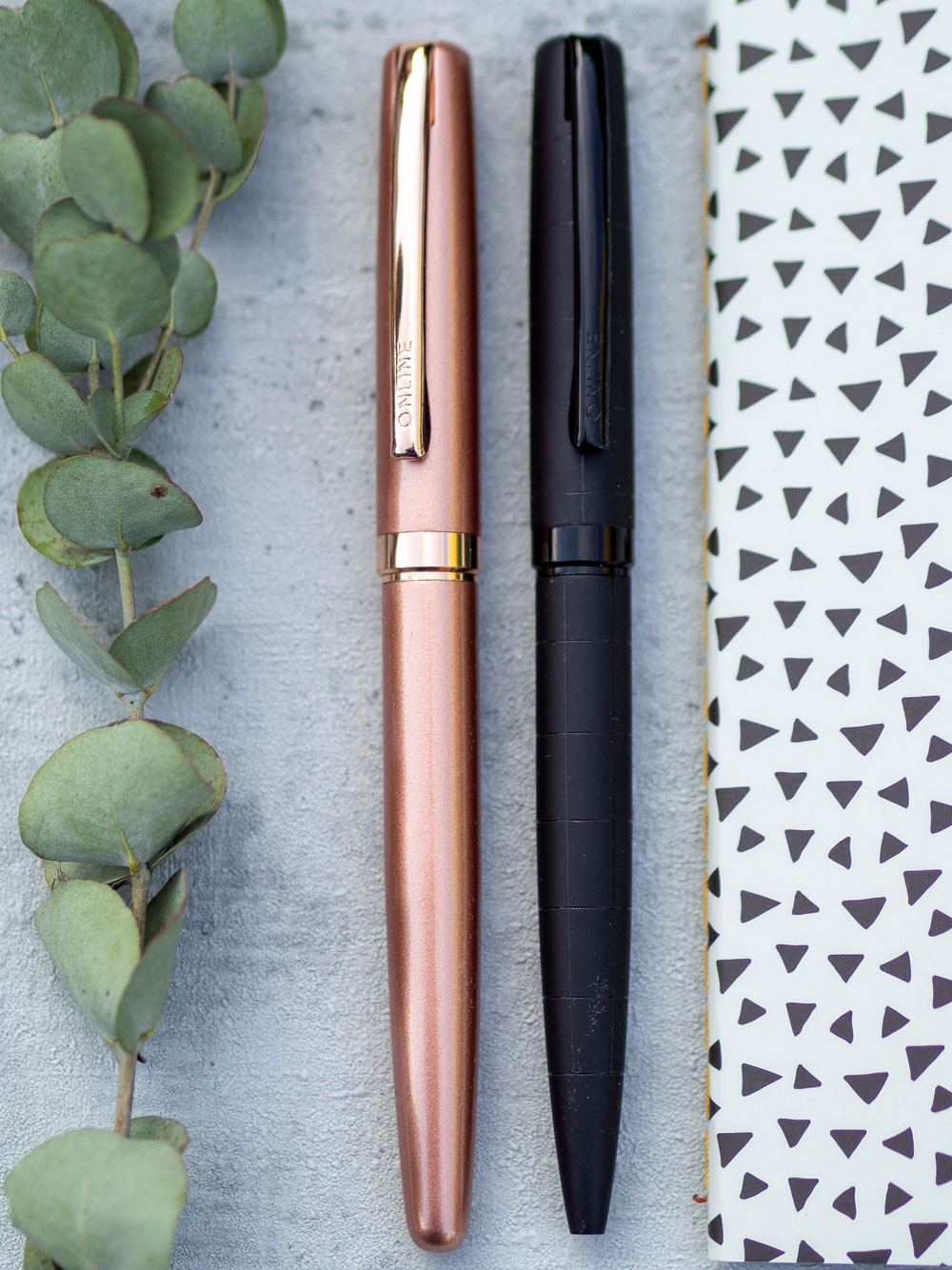 Rosegoldener Füllhalter und schwarzer Kugelschreiber der Marke Online nebeneinander mit Eukalyptuszweig.