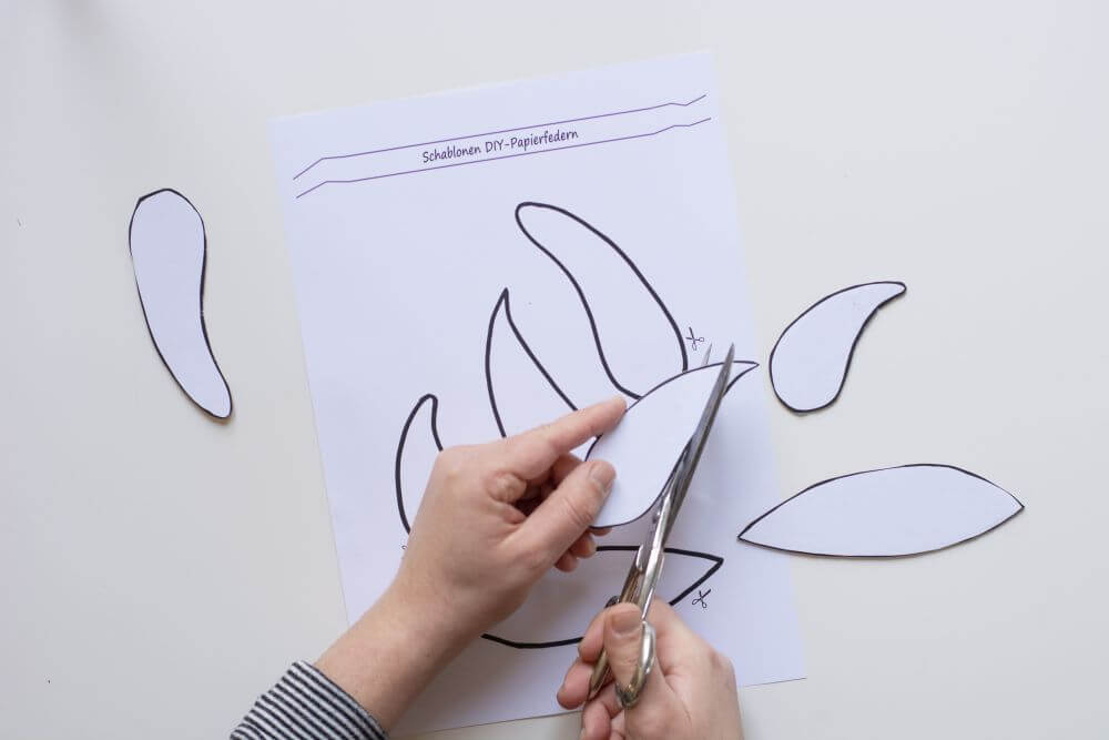 Bastelanleitung Do it yourself-Papierfedern. Schritt 1: Schablonen ausschneiden.