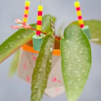 Ein selbstgebastelter, hängender Blumentopf aus einem Tetrapak, verziert mit Stempeln und Perlen von HEYDA und Knorr PRANDELL