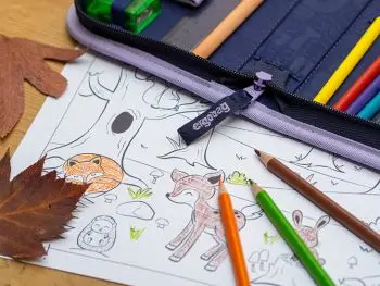 Ein Ausmalbild mit Waldmotiv liegt auf einem Holztisch unter einem Mäppchen von ergobag. Foto: Johanna Rundel