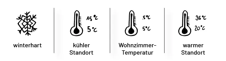  Übersicht von Pflanzensymbolen zur Temperatur.