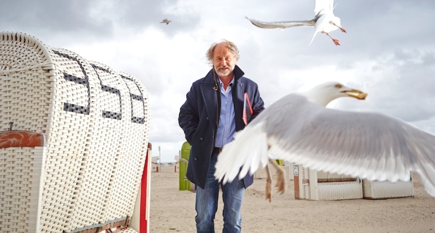 Autor Klaus-Peter Wolf steht am Stand an der Ostesee inmitten von Strandkörben. 2 Möwen fliegen umher.